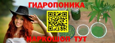 прущие грибы Аргун